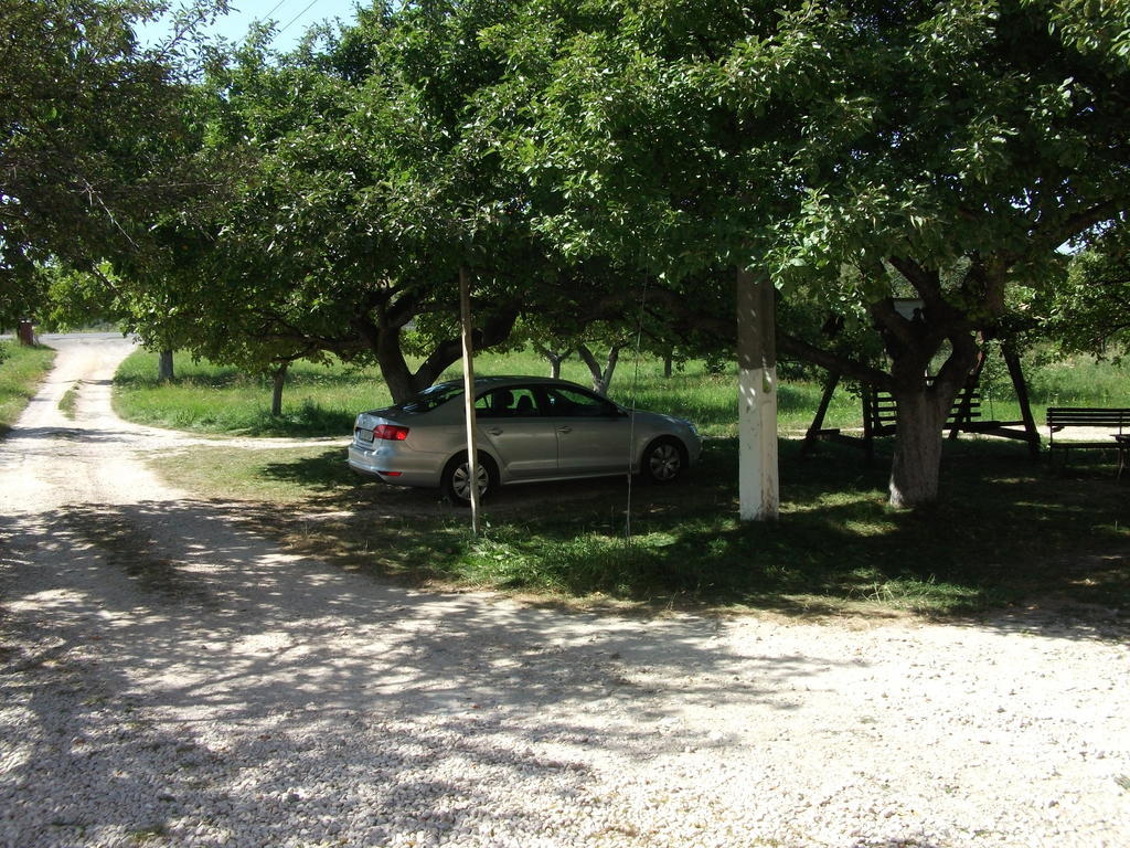 Pensiunea Mir Bran  Exterior foto